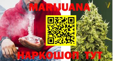 шишки Будённовск