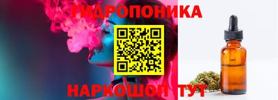шишки Будённовск