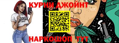 шишки Будённовск