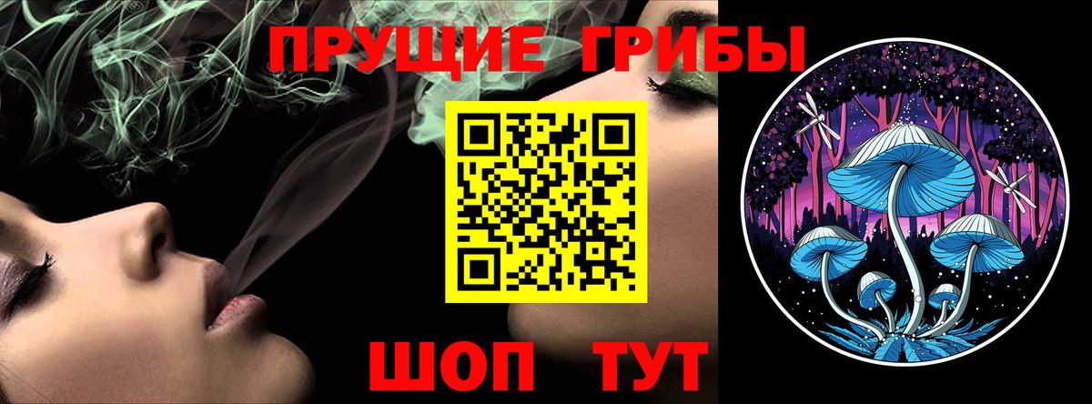Псилоцибиновые грибы Cubensis  Вход с VPN  Новомосковск 